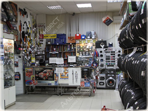 Интернет-магазин по продаже автомобильных запчастей с подтверждённой прибылью Фото - 1
