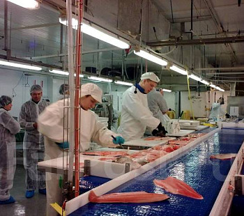 Производство рыбных полуфабрикатов