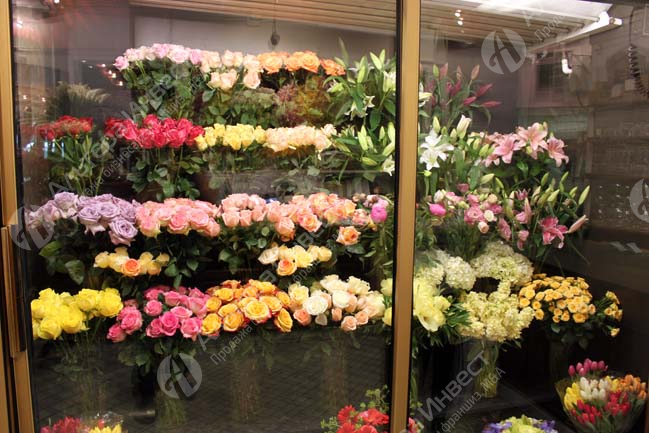 Салон цветов с раскрученным интернет-магазином Фото - 1