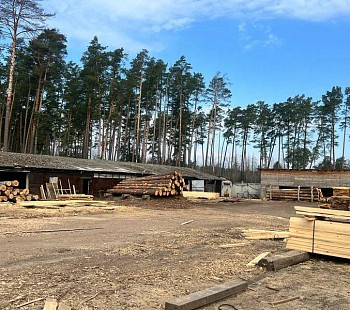 Деревоперерабатывающее Предприятие со своим лесом.