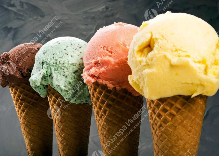 Доля в производстве премиального итальянского мороженого, сеть собственных точек продаж.   Фото - 1