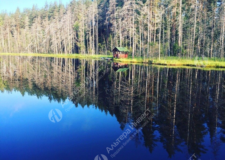 База отдыха на озере в Выборгской районе Фото - 3