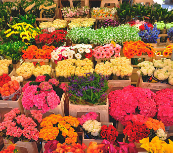 Сетевой цветочный магазин с большим складом под цветы 