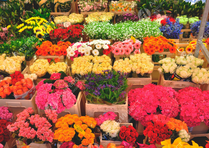 Сетевой цветочный магазин с большим складом под цветы  Фото - 1