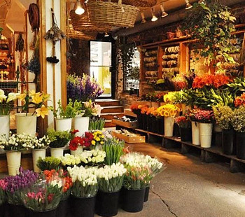 Цветочный магазин/центр города