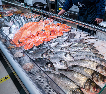 Сеть прибыльных рыбных магазинов