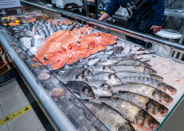 Сеть прибыльных рыбных магазинов Фото - 1
