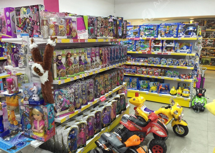Популярный магазин детских игрушек Фото - 1
