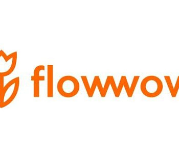 Интернет-магазин цветов на flowwow с прибылью 220 000 рублей