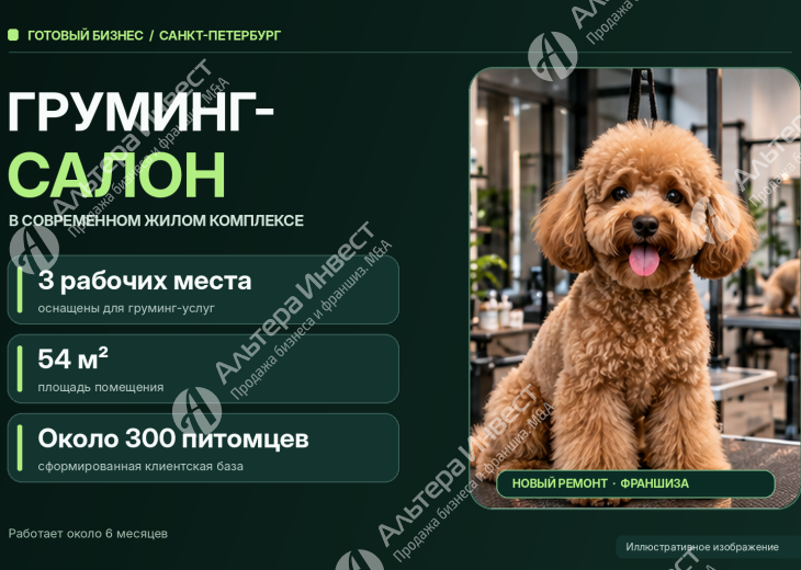 Готовый груминг-салон в Санкт-Петербурге | Франшиза | 3 рабочих места Фото - 1