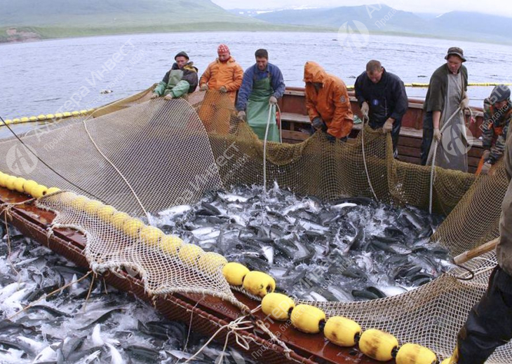 Доля 50 % в рыбодобывающей компании Фото - 3