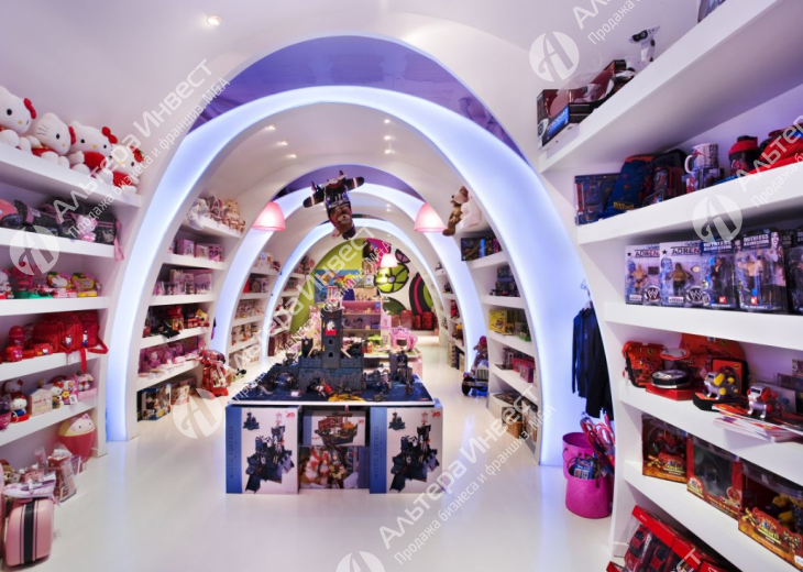 Действующий магазин детских игрушек с интернет сайтом Фото - 1