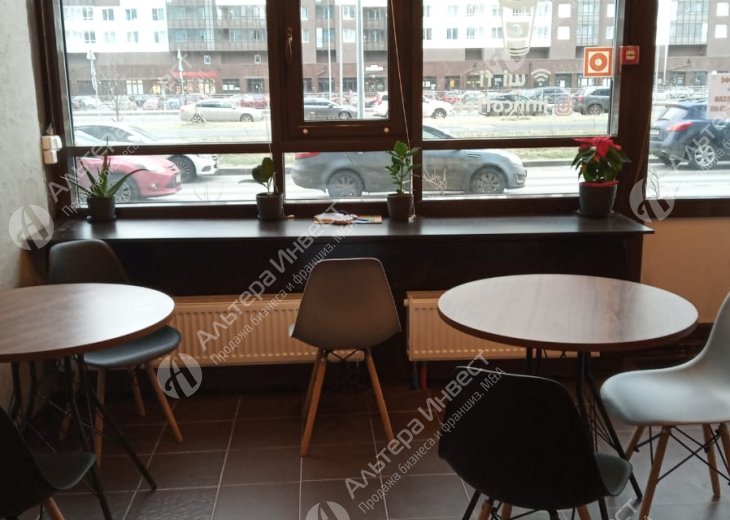 Кофейня с витринными окнами на Комендантском проспекте Фото - 1