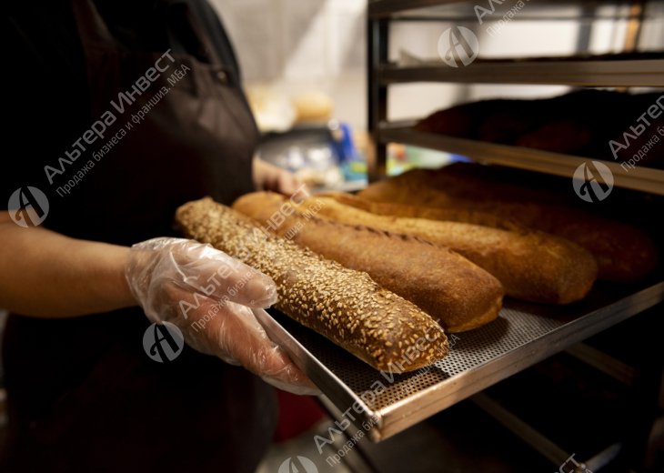 Пекарня-кондитерская полного цикла в Приморском районе  Фото - 1