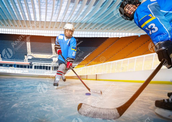 Хоккейный тренировочный центр в СЗАО с прибылью от 300 000 рублей Фото - 1