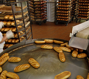 Хлебное производство с рынком сбыта (130 партнеров)