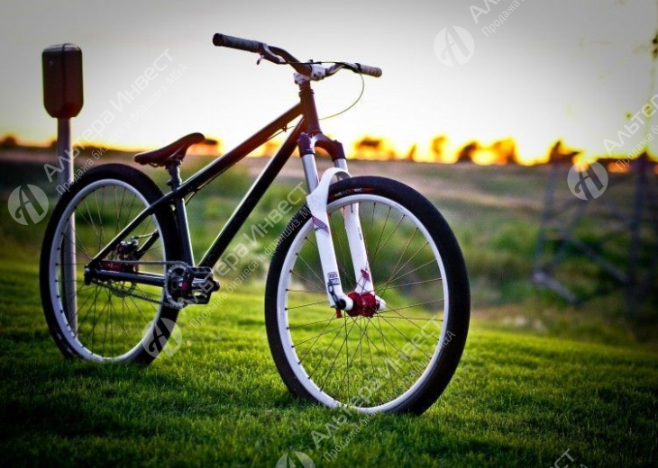Маркетплейс велосипедов. Годовой оборот более 200 млн. рублей Фото - 1