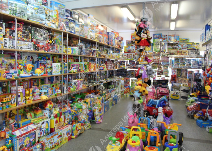 Магазин детских игрушек с огромным и уникальным ассортиментом Фото - 1