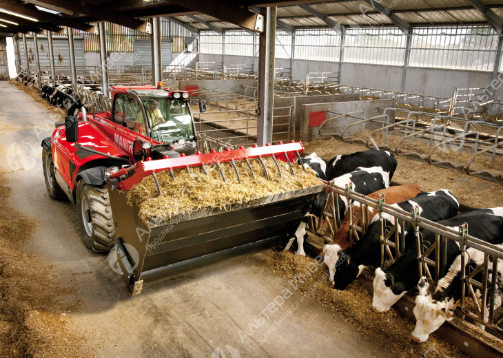 Сельхозпроизводитель молока и мяса 1500 голов КРС Фото - 2