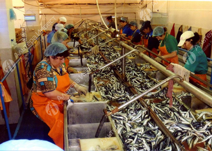 Доля 50 % в рыбодобывающей компании Фото - 2