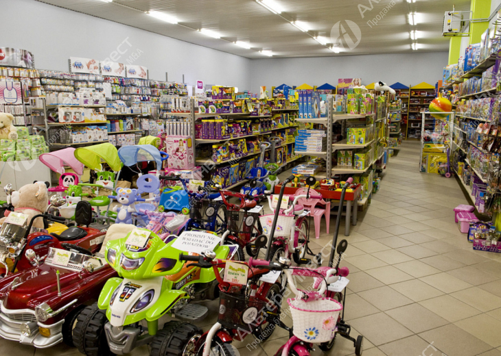 Магазин детских товаров ∣ подтверждаемая прибыль Фото - 1