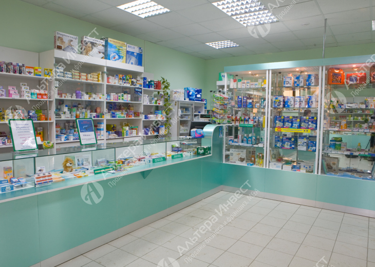 Аптека в Фрунзенском районе Фото - 1