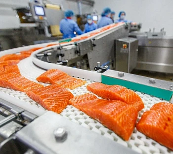Рыбное пищевое производство