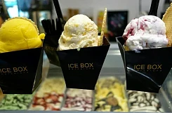 Франшиза «ICEBOX» – продажа мороженного