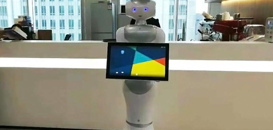 Франшиза «ROBOMAX» – аренда роботов с искусственным интеллектом Фото - 1
