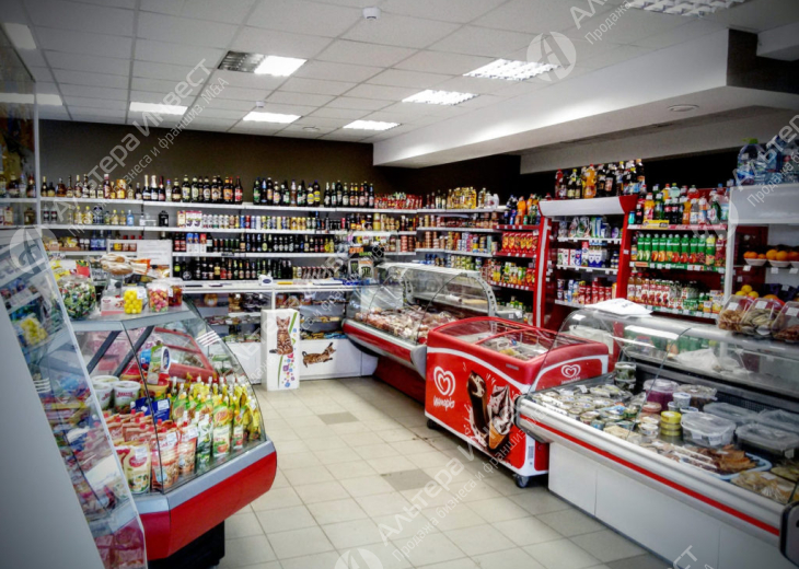 Продуктовый магазин в Ленинском районе с крепким алкоголем Фото - 1