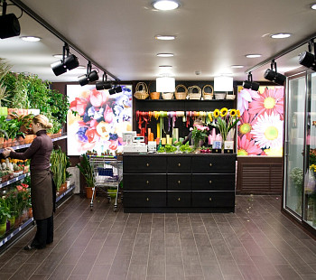 Vip-студия по продаже цветов. В собственности