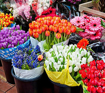 Цветочный магазин ∣ 5 лет успешной работы