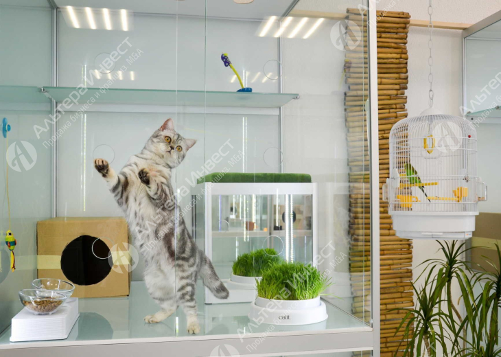 Зоогостиница Booking cat на Ленинском  Фото - 1