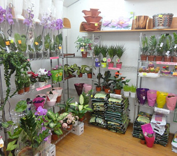 Магазин цветов и товаров для сада