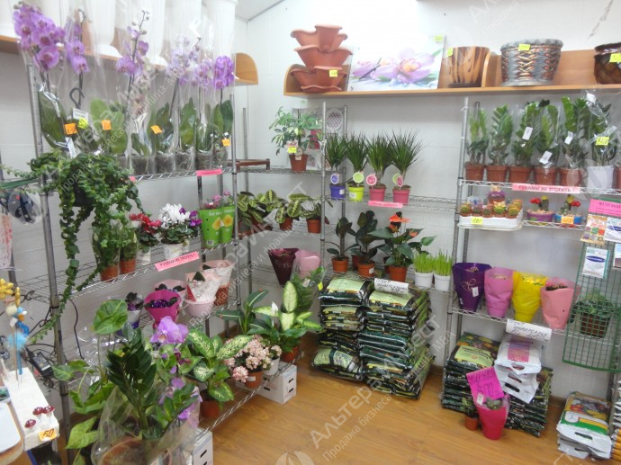Магазин цветов и товаров для сада Фото - 1