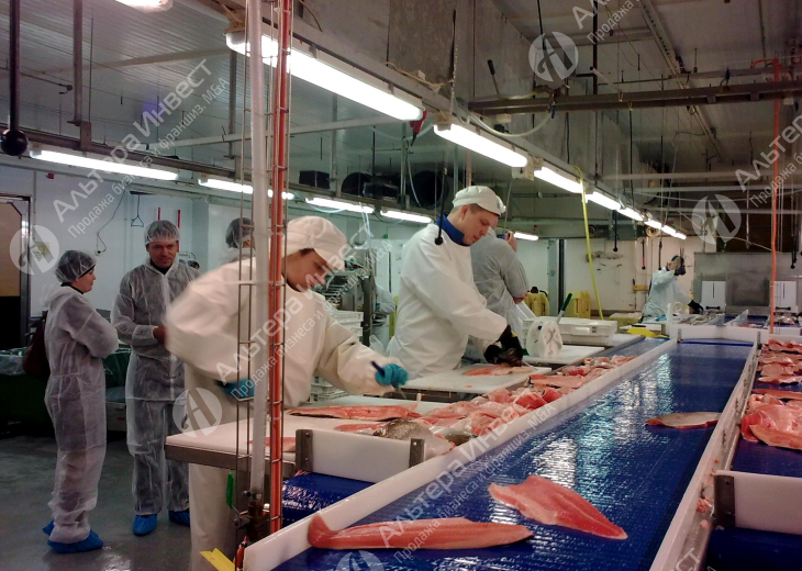 Действующий цех по переработке мяса и рыбы Фото - 1