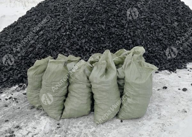 Дистрибьютерская компания по продаже угля / 10 лет на рынке Фото - 1