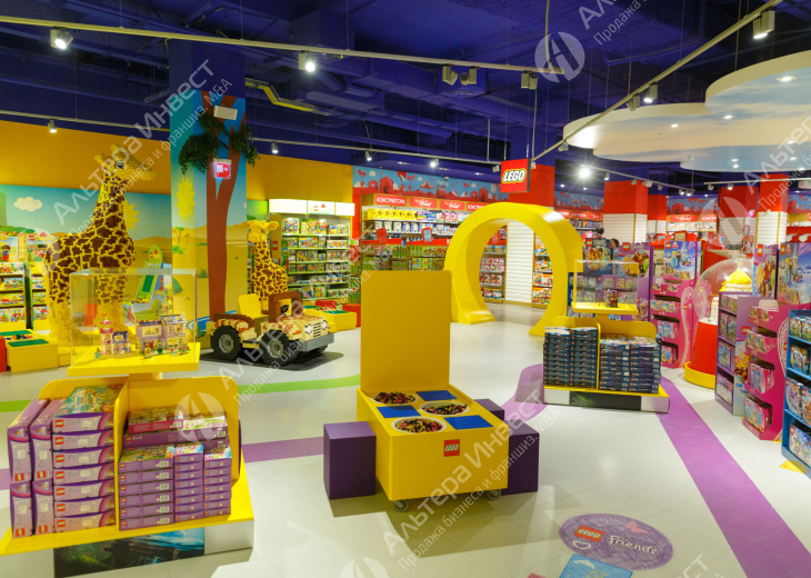 2 магазина детских игрушек с сайтом Фото - 1
