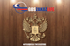 Франшиза госзакупок и тендеров 