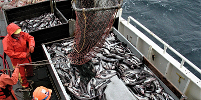Рыбодобывающее и рыбоперерабатывающее предприятие в России