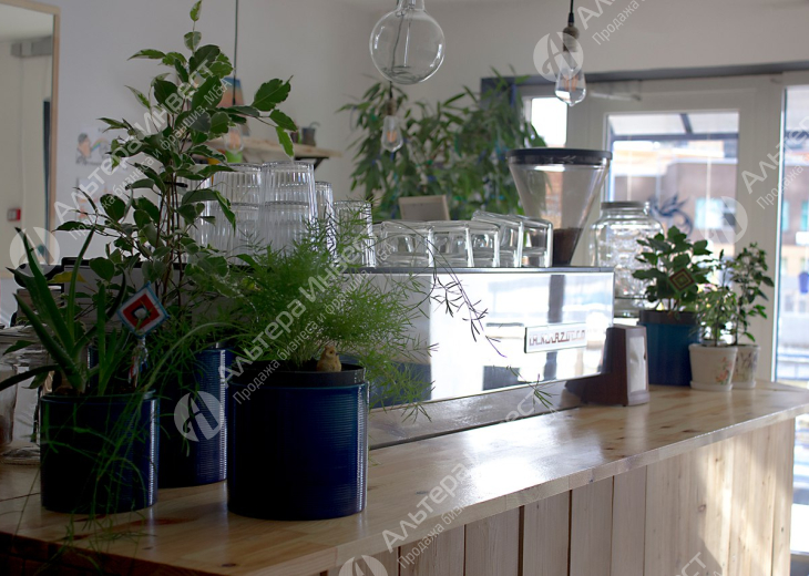 Дизайнерская кофейня в формате Specialty Фото - 1