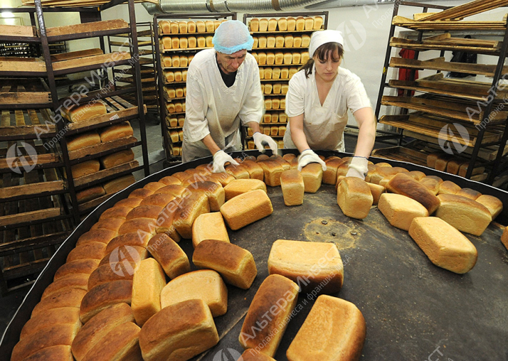 Хлебное производство с рынком сбыта (130 партнеров) Фото - 3