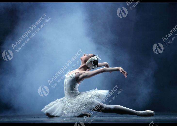 Школа балета известной франшизы, три зала Фото - 1