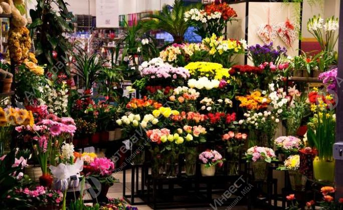 Действующий цветочный бизнес Фото - 1