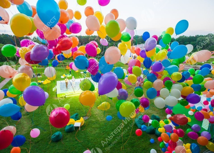 Интернет-магазин по доставке воздушных шаров  Фото - 1