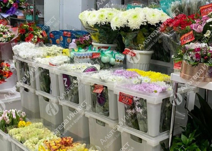 Два цветочных магазина у метро в СЗАО Фото - 4