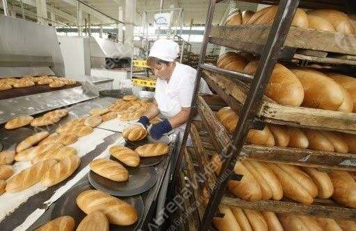 Производство хлеба со сбытом  Фото - 1