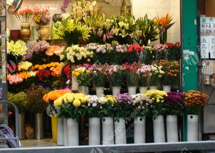 Магазин цветов 150т.р. чистая прибыль метро Волоколамская Фото - 2