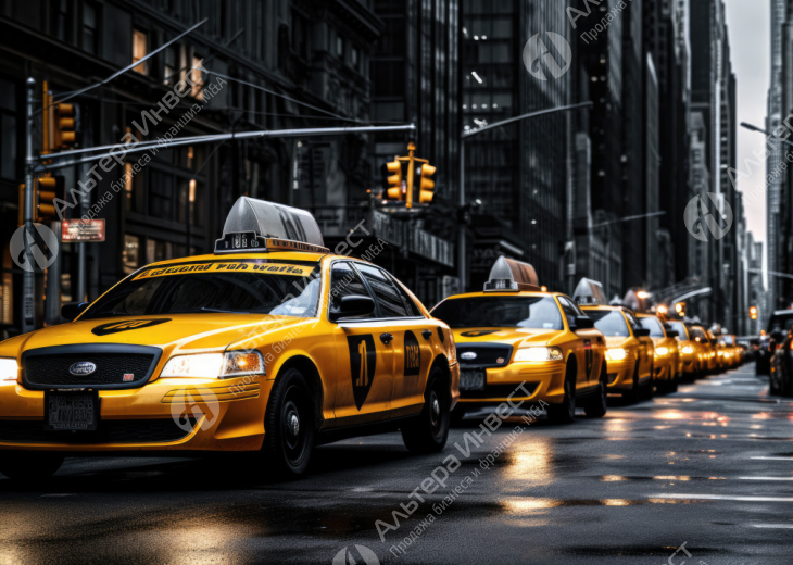 On-line служба такси.Подтверждаемая доходность. Фото - 1