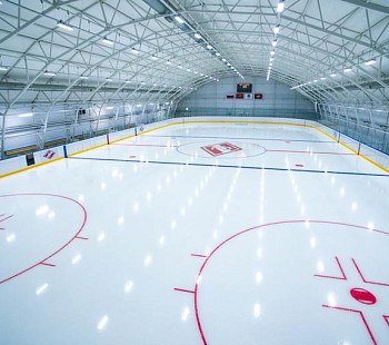Круглогодичная хоккейная площадка. Стабильный подтвержденный доход
